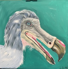 Portraits eines Dodo 