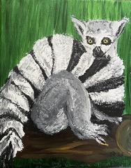 Ringtail - Herscher der Ruhe